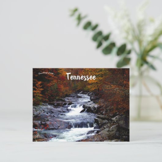 Cascading Rapids landschap in Great Smoky Mountain Briefkaart (Staand voorkant)