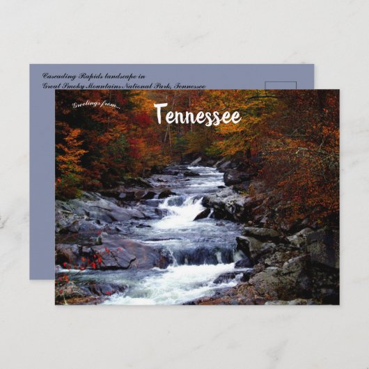 Cascading Rapids landschap in Great Smoky Mountain Briefkaart (Voorkant / Achterkant)