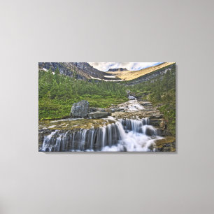Cascading stream, Glacier National Park Canvas Afdruk