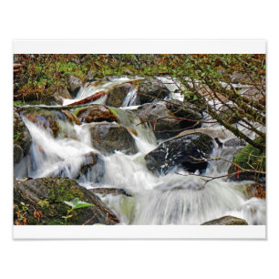 Cascading Waters1 Foto Afdruk