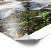 Cascading Waters1 Foto Afdruk (Hoek)