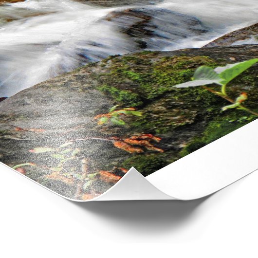 Cascading Waters1 Foto Afdruk (Hoek)