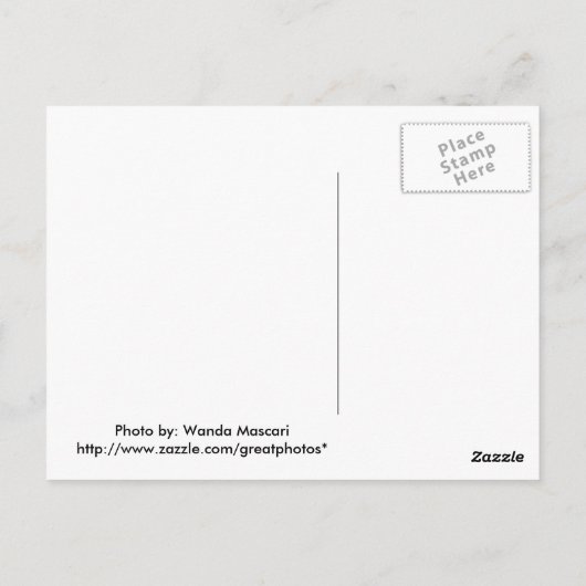 Cascading Waterval Briefkaart (Achterkant)