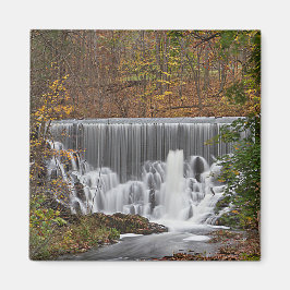 Cascading woodland waterval en herfst folia magneet