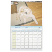 Casco Kalender (Feb 2027)