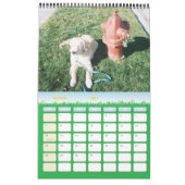 Casco Kalender (Mar 2027)