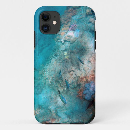 Case-Mate Tough Apple iPhone 11 Hoesje (Achterkant)