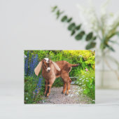 "Casey" Briefkaart (Staand voorkant)