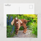 "Casey" Briefkaart (Voorkant / Achterkant)