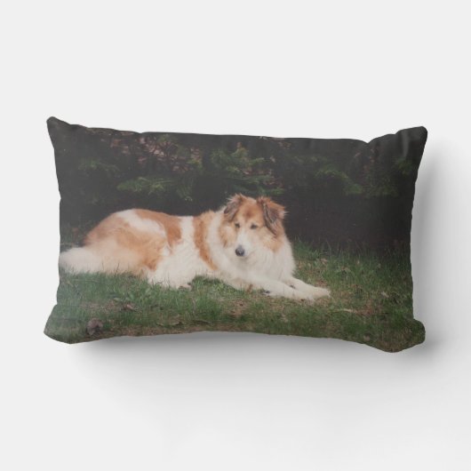 Casey collie kussen (Achterkant)