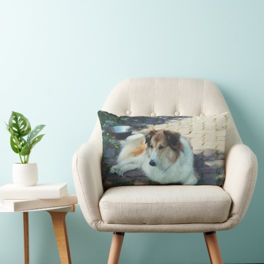 Casey collie kussen (Stoel)