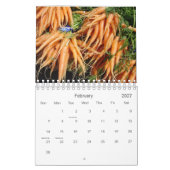 Casey's kalendars - Fruits & Veggies Kalender (Feb 2027)