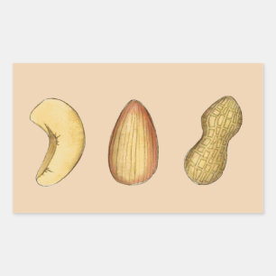 Cashew, Almond, Peanut Nut Nutty Nuts Stickers