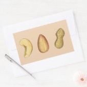 Cashew, Almond, Peanut Nut Nutty Nuts Stickers (Envelop)