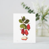 Cashew Briefkaart (Staand voorkant)