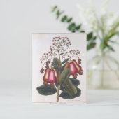 Cashewnoot Briefkaart (Staand voorkant)