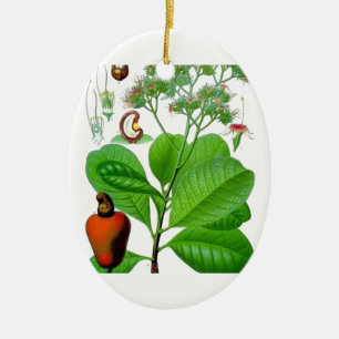 Cashewnoot Keramisch Ornament