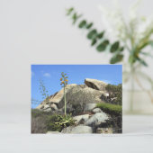 cashibara rock briefkaart (Staand voorkant)