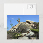 cashibara rock briefkaart (Voorkant / Achterkant)