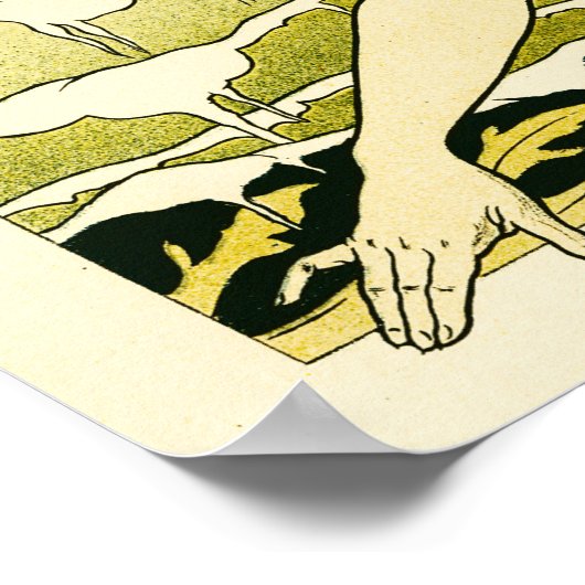 CASINO DE CABOURG Paris Henri Privat Livemont Art Poster (Hoek)