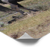 Casino Poster (Hoek)