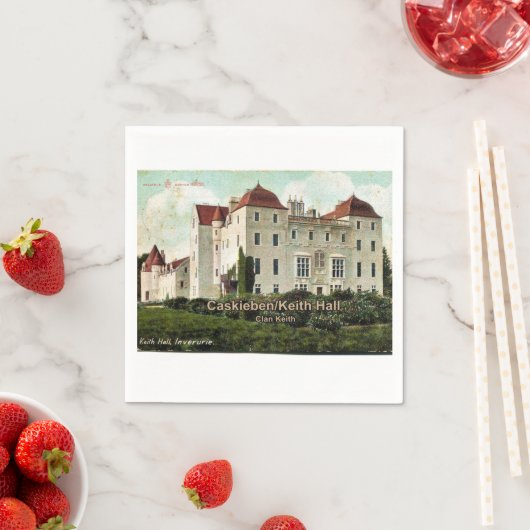 Caskieben Castle/Keith Hall, Clan Keith Servetten (Insitu)