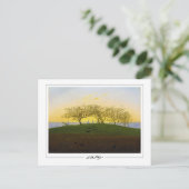 Caspar David Friedrich #137 - Kunstkaart Briefkaart (Staand voorkant)