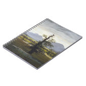 Caspar David Friedrich - De eenzame boom Notitieboek (Linkerzijde)