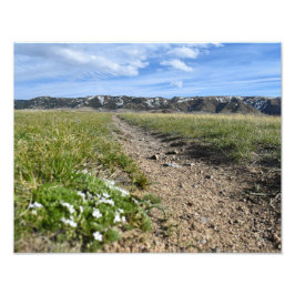 Casper Mountain Seasons - Spring Phlox - Casper WY Foto Afdruk