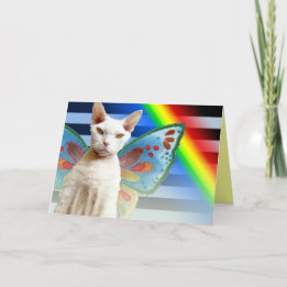 Casper Rainbow-fee | Devon Rex Cat Birthday Card Kaart