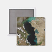 Caspiaans Zee Magneet (Voorkant / Achterkant)