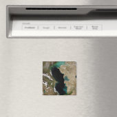 Caspiaans Zee Magneet (Insitu (Vaatwasser))