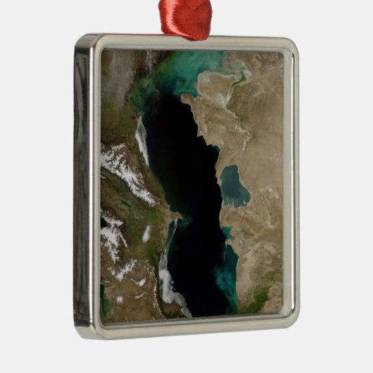 Caspiaans Zee Metalen Ornament (Rechts)