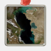 Caspiaans Zee Metalen Ornament (Voorkant)