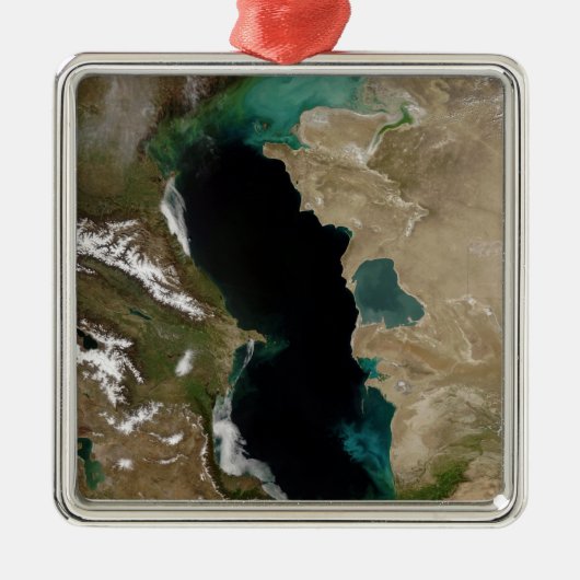 Caspiaans Zee Metalen Ornament (Voorkant)