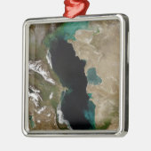 Caspiaans Zee Metalen Ornament (Links)