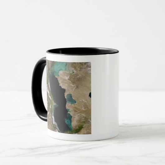 Caspiaans Zee Mok (Voorkant links)