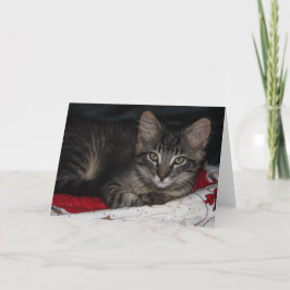 Caspian Christmas Blank Wenskaart Feestdagen Kaart