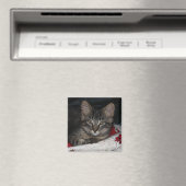 Caspian Cozy KerstMagnet Magneet (Insitu (Vaatwasser))