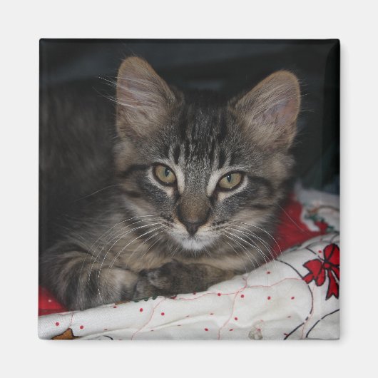 Caspian Cozy KerstMagnet Magneet (Voorkant)