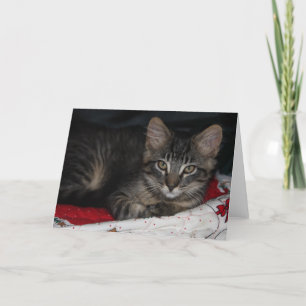 Caspian Kerstblank Wenskaart Feestdagen Kaart