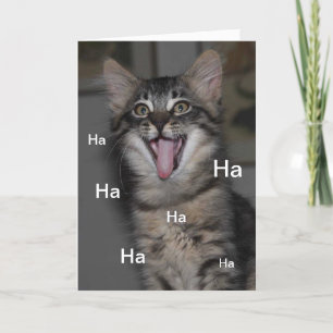 Caspian Kitten Hospital krijgt binnenkort een kaar Kaart