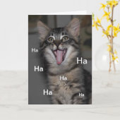 Caspian Kitten Hospital wordt snel beter Kaart (Gele Bloem)