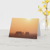 Caspian ponies grazen in de mist-zon kaart (Gele Bloem)