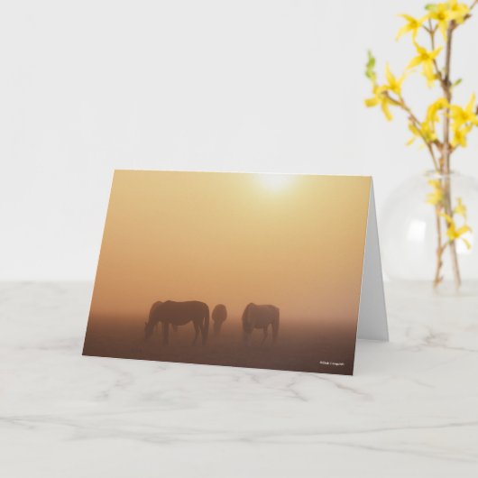 Caspian ponies grazen in de mist-zon kaart (Gele Bloem)