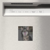 Caspian Yawning Kitten Magnet (Insitu (Vaatwasser))