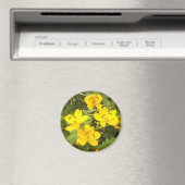 Cassia Flowers Photo Round Magnet (Insitu (Vaatwasser))