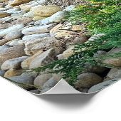 Cassian Fountain Grass & Juniper, Poster (Hoek)