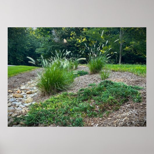 Cassian Fountain Grass & Juniper, Poster (Voorkant)