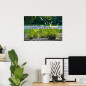 Cassian Fountain Grass, Poster (Thuiskantoor)